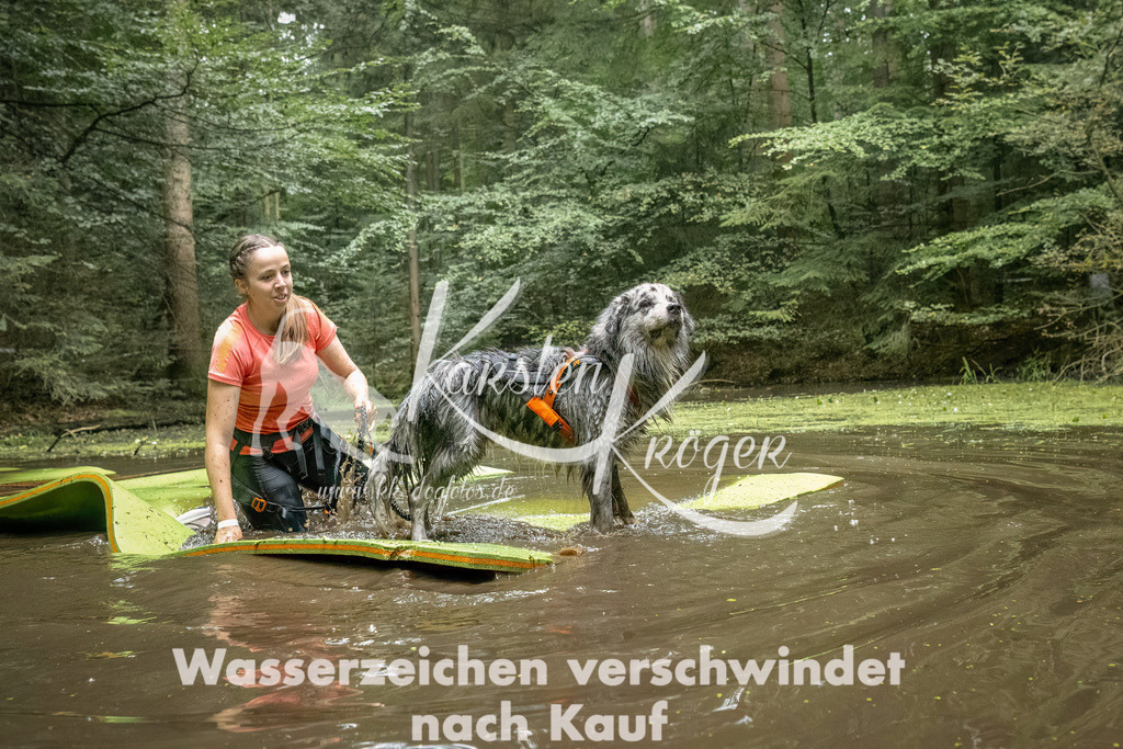 1440_ZZ93275-Bearbeitet | kk-dogfotos