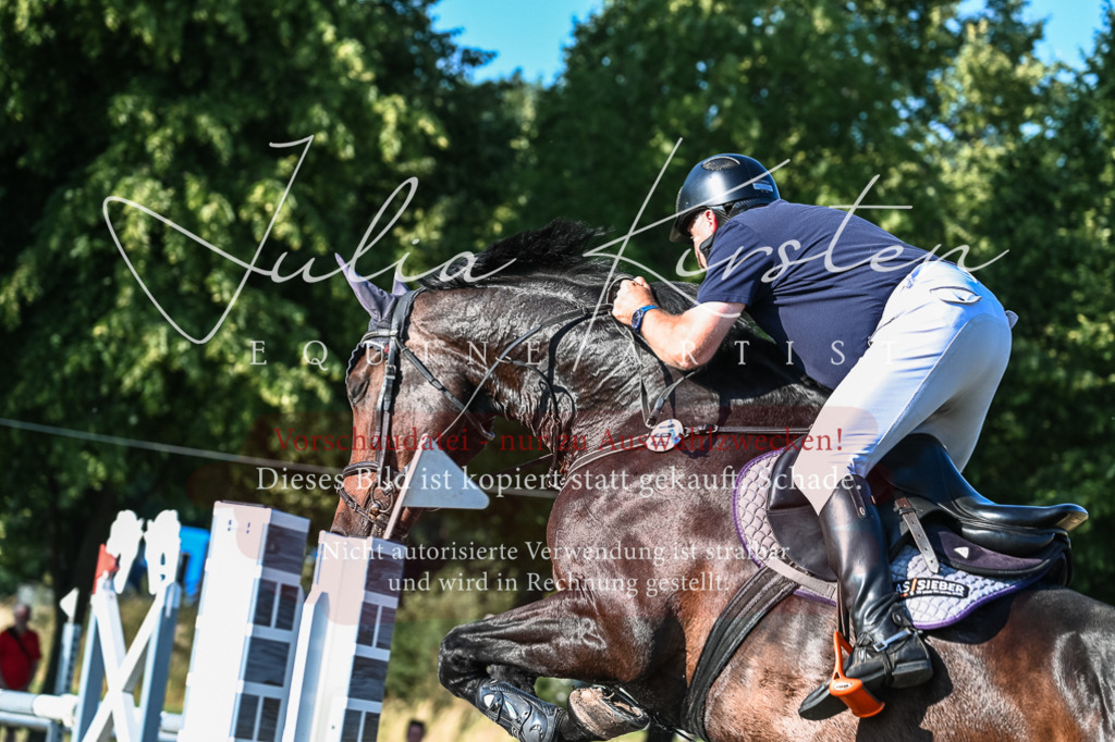 DSC_3001 | Pferde- und Turnierfotografie in Westsachsen. Pferdeportraits, Auftragszeichnungen und intuitive Kunst.