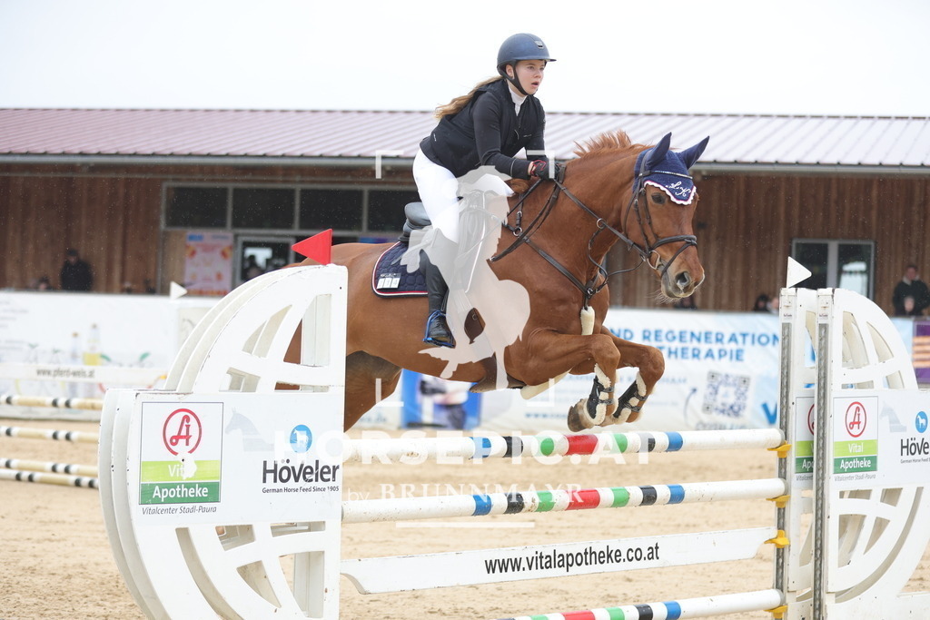 0P6A0580 | Willkommen bei Brunnmayr - Design & Fotografie – Ihrem Spezialisten für Reitturniere und Pferdeveranstaltungen in Oberösterreich, Salzburg und Bayern! Seit über 17 Jahren sind wir leidenschaftlich dabei.