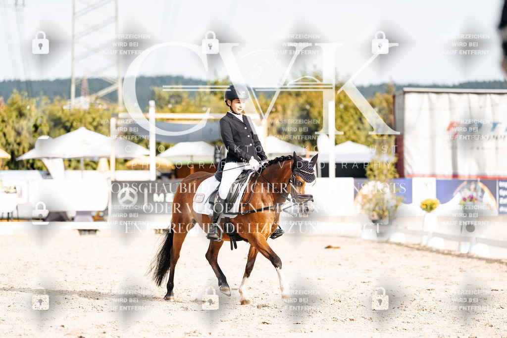 CK904183 | Turnierfotografie Pferdefotografie Trier Rheinland-Pfalz Pferdesport Reitsport Tierfotografie Sportfotografie Pferdevideo Pferdevideografie Equestrianvideography equestrianphotography  - Realisiert mit Pictrs.com