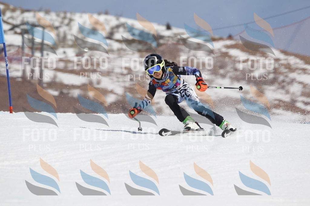 _U3G0912 | holidayphoto