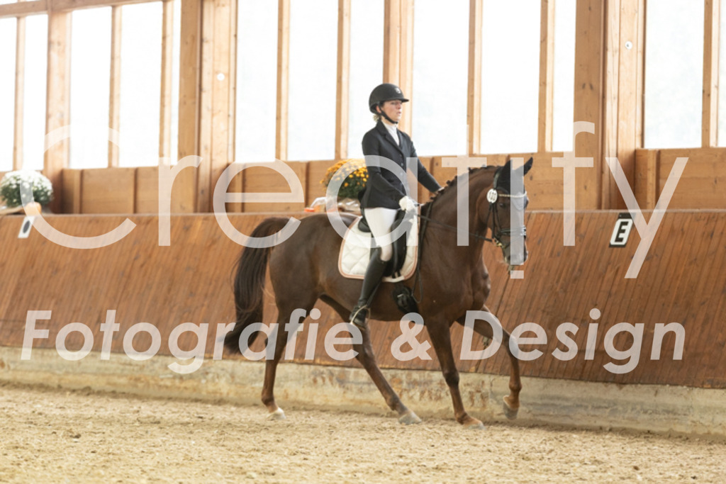 IMG_2005 | Creatify Fotografie