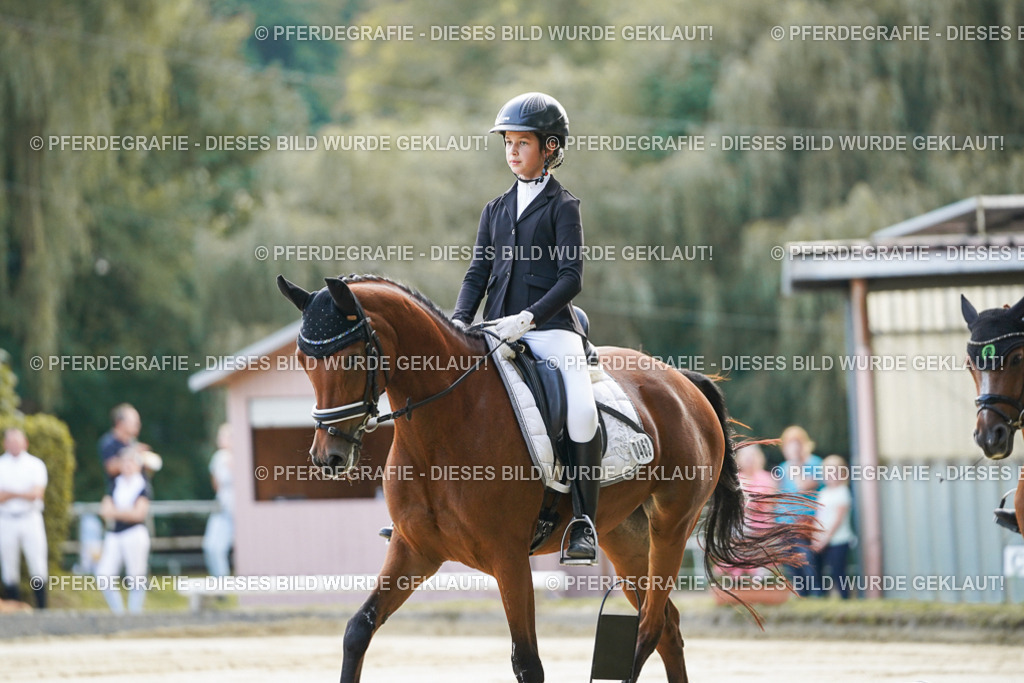 DSC05335 | Pferdegrafie