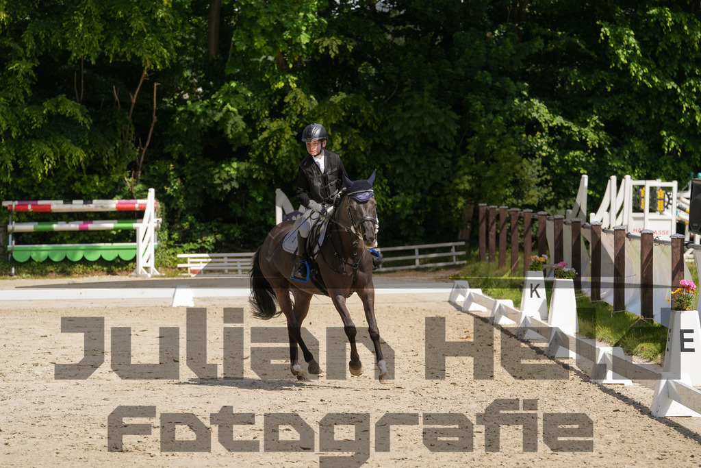 DSC03305 | Julian Held Fotografie - Realisiert mit Pictrs.com