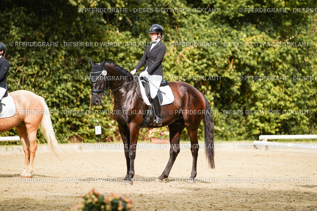 DSC02995 | Pferdegrafie