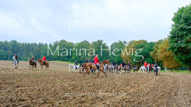 Jagd Kletkamp 26-9535_MarinaHewig | Fotografie, FotoArt, PferdesportArt, Pferdesportfotografie, Landschaftsfotografie, Reisefotografie, Reise, Pferde - Realisiert mit Pictrs.com