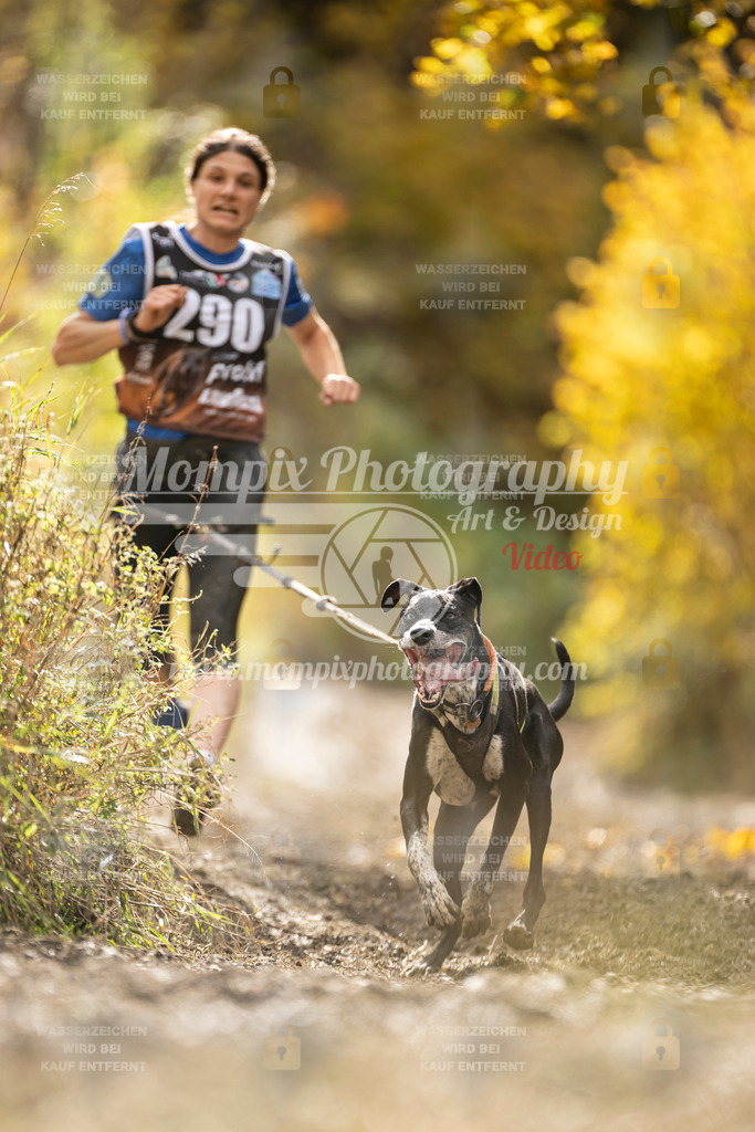 MompixPhotography_ICF_WC_2024_SA_Run_-139 | PayLife