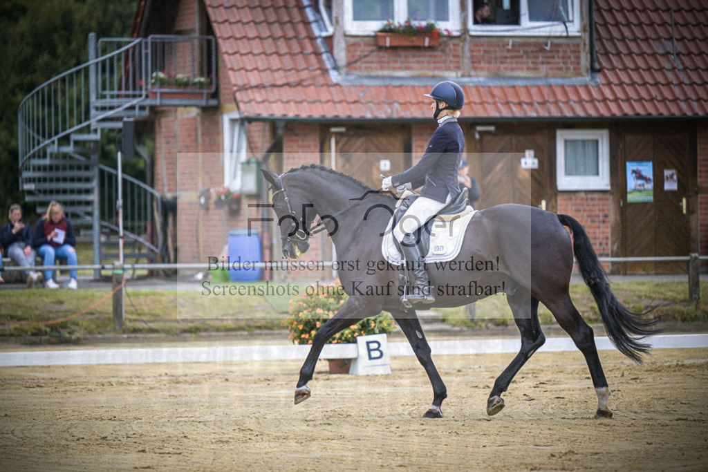 DOS_6050 | Entdecke hochwertige Reitturnierfotos von Foto Oger. Professionell, emotional und authentisch – jetzt Lieblingsmomente im Shop bestellen.Deutschlandweite Turnierfotografie. - Realisiert mit Pictrs.com