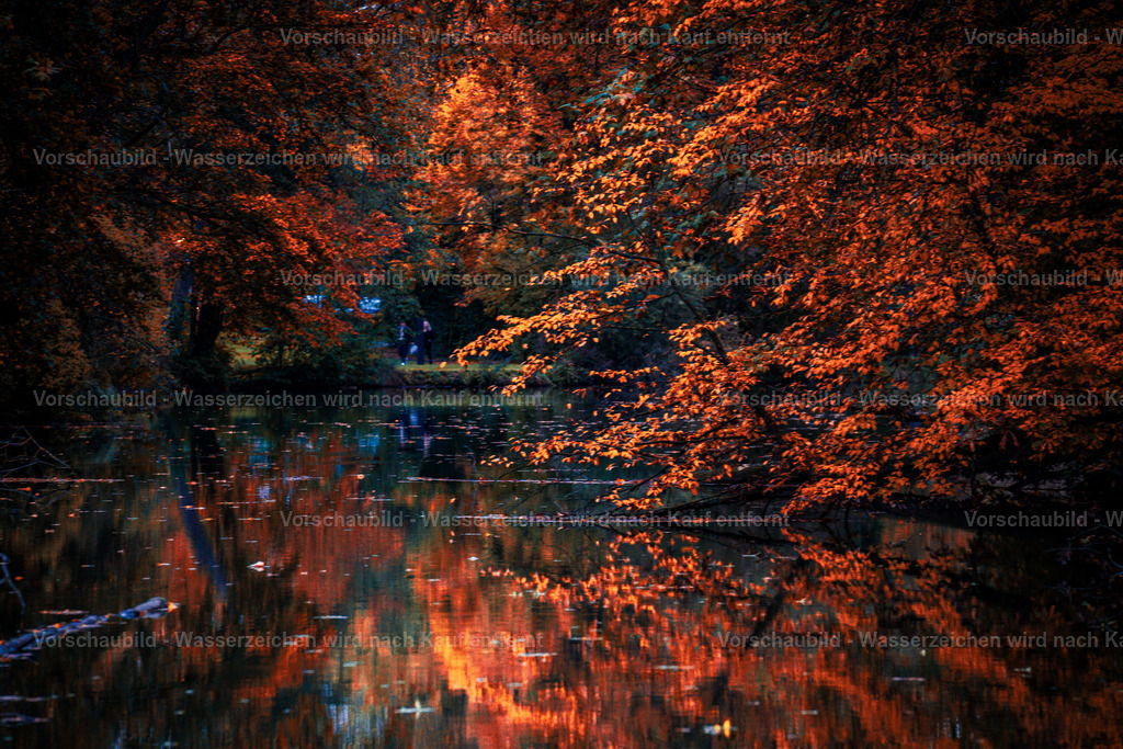 DSC06074 | marcuslinek