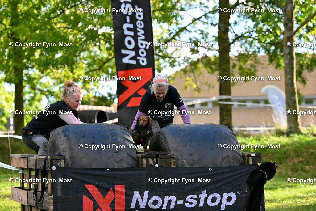 DSC_7023 | Hallo und herzlich Willkommen auf meiner Shop-Seite Fynn Most.

Ich wünsche Dir viel Spaß beim stöbern durch die Bilder, wenn Du Fragen hast oder Bilder vermisst, kannst du mir gerne eine Nachricht schreiben. - Realisiert mit Pictrs.com