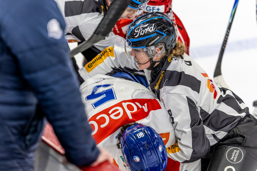 EHCB vs GCK 20260104-7168 | Sportbilder, Sportfotograf, Hochzeits- und Eventfotografin, Flugshows, Portraits und Tiershooting, Aviation, Downhill, Nationalleague, Swissleague, International