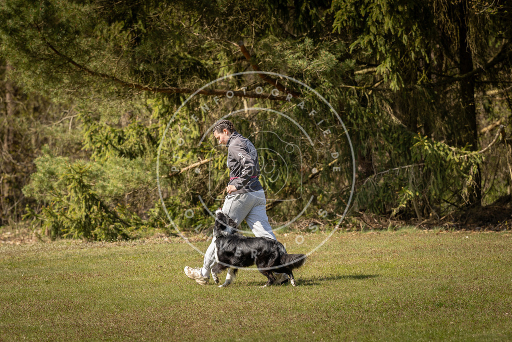 Pfotenfotografie_DV3A0984 | Hundefotografie, Tierfotograf, Pfotenfotografie, Fotoshooting Hund, Hunde Portrait, Hundesport, Hundeportraits, Heideshooting, Hunde, Sportfotograf, Hundefotograf, Turnierhundsport, THS,  - Realisiert mit Pictrs.com