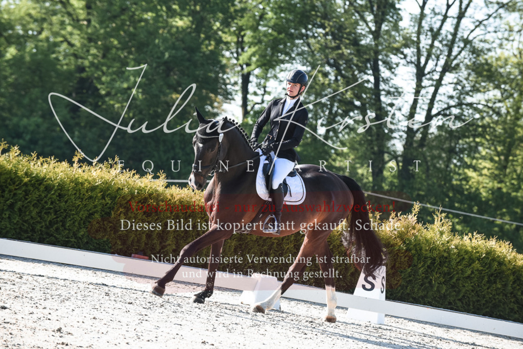 20230518_JK-Röhrsdorf-09-0564 | Pferde- und Turnierfotografie in Westsachsen. Pferdeportraits, Auftragszeichnungen und intuitive Kunst.
