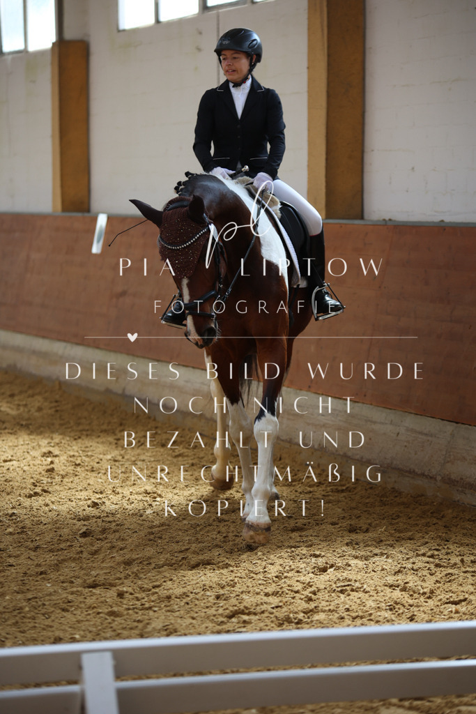 IMGT3712 | pl-fotografie