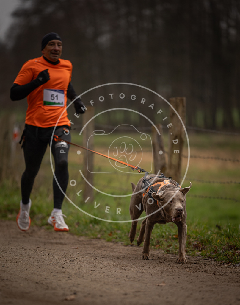 Pfotenfotografie_DV3A2873 | Hundefotografie, Tierfotograf, Pfotenfotografie, Fotoshooting Hund, Hunde Portrait, Hundesport, Hundeportraits, Heideshooting, Hunde, Sportfotograf, Hundefotograf, Turnierhundsport, THS,  - Realisiert mit Pictrs.com