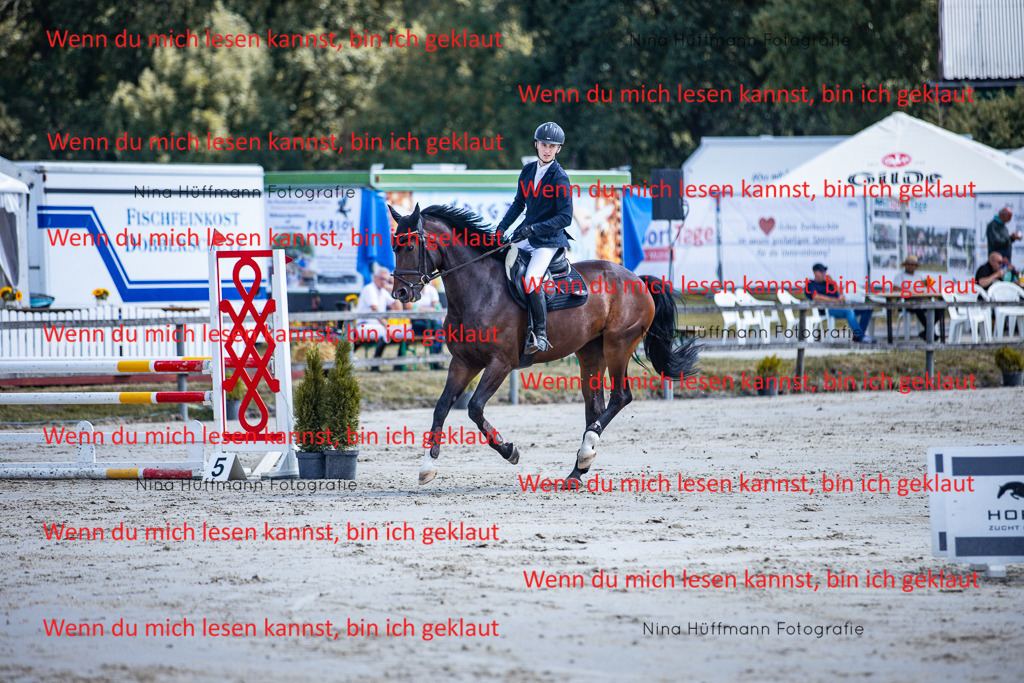 BK1A5104 | Turnierbilder Turnierfotos Nina Hüffmann Turnierfotografie Pferdefotografie Tierzeichnung Haustierzeichnung Pferdezeichnung Hundezeichnung Videograf  - Realisiert mit Pictrs.com