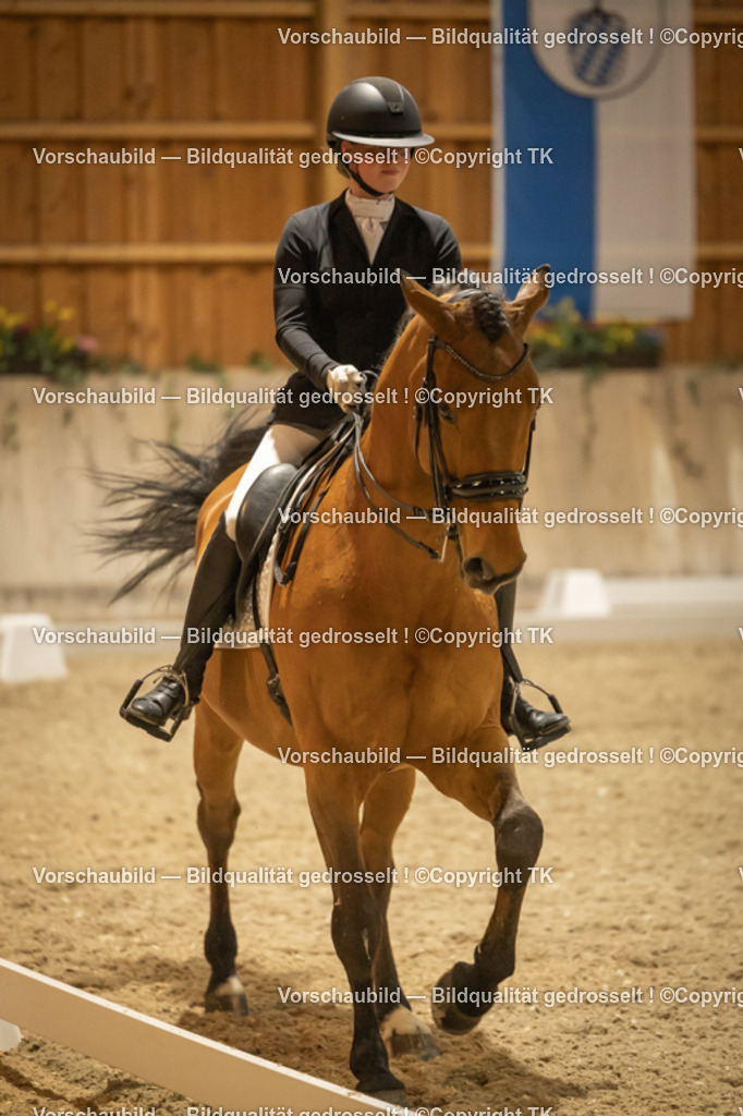 _D5A3969 | Emotionale Pferde- & People-Fotografie rund um Heidelberg, Leimen & Umgebung. Natürliche Fotos von Pferd, Mensch & Familie. Jetzt Termin sichern!