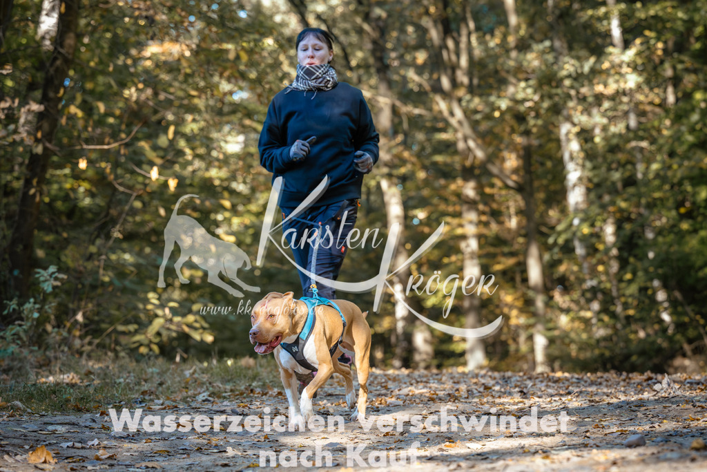 1122_ZZ92217 | kk-dogfotos