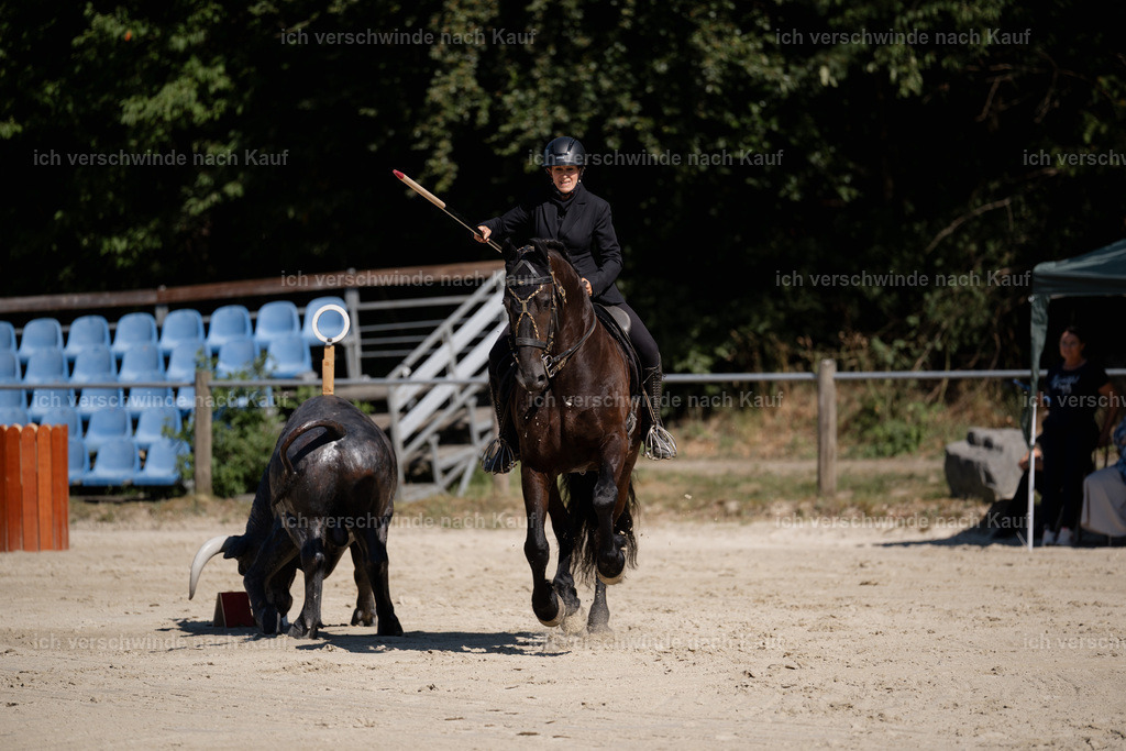 WM_ST_132_stoibphotography__SO12013 | working equitationturnier fotograf videograf stoibphotography marixx film working equitation deutschland reitsport turnierfotografie eventfotografie equestrian events