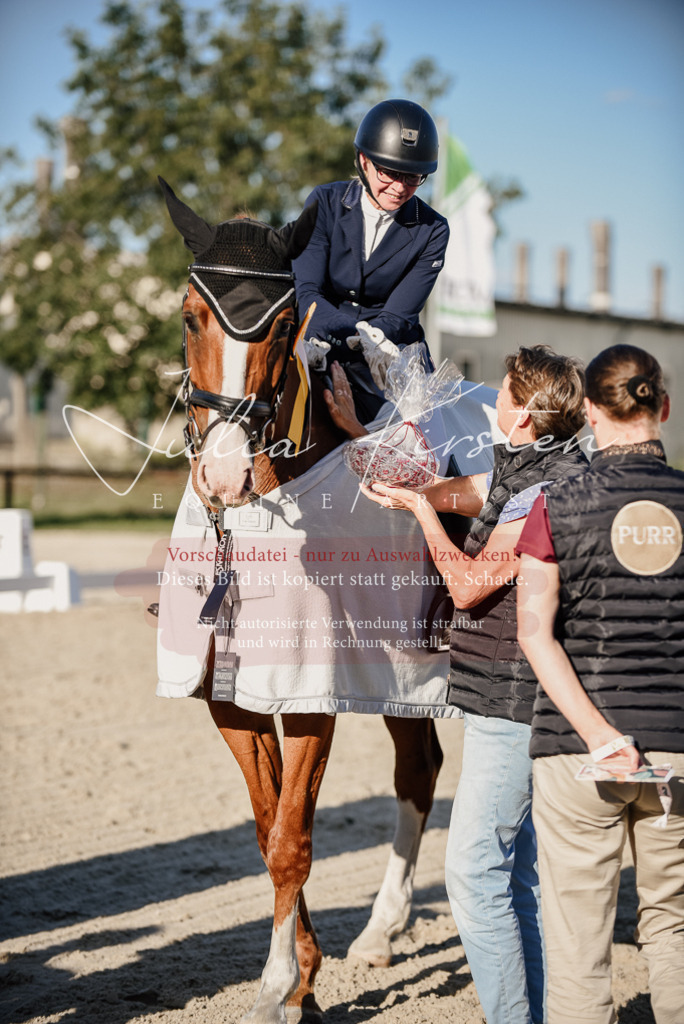 DSC_0717 | Pferde- und Turnierfotografie in Westsachsen. Pferdeportraits, Auftragszeichnungen und intuitive Kunst.