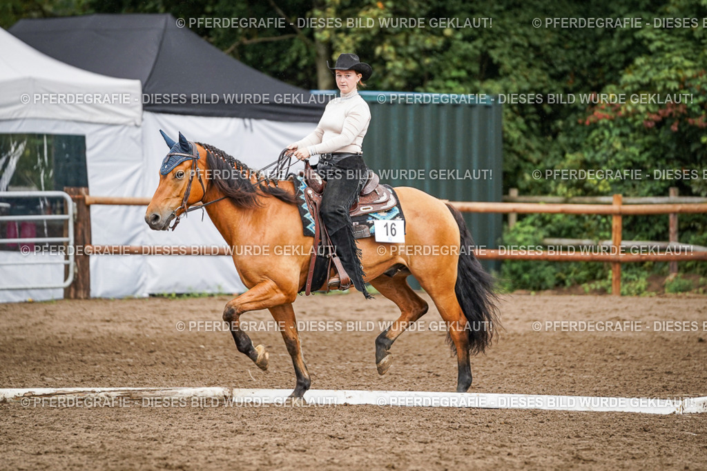 DSC04470 | Pferdegrafie