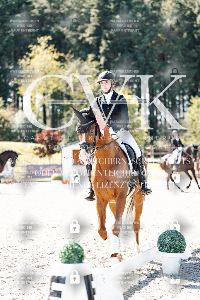 CK909986 | Turnierfotografie Pferdefotografie Trier Rheinland-Pfalz Pferdesport Reitsport Tierfotografie Sportfotografie Pferdevideo Pferdevideografie Equestrianvideography equestrianphotography  - Realisiert mit Pictrs.com