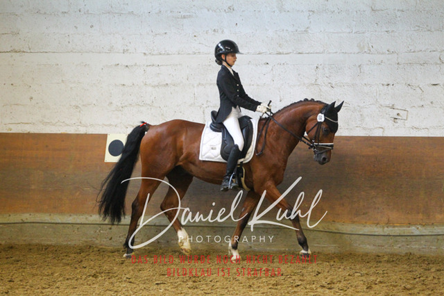 DKP43649 | Turniersportfotografie; Pferdefotografie; Dressurfotografie