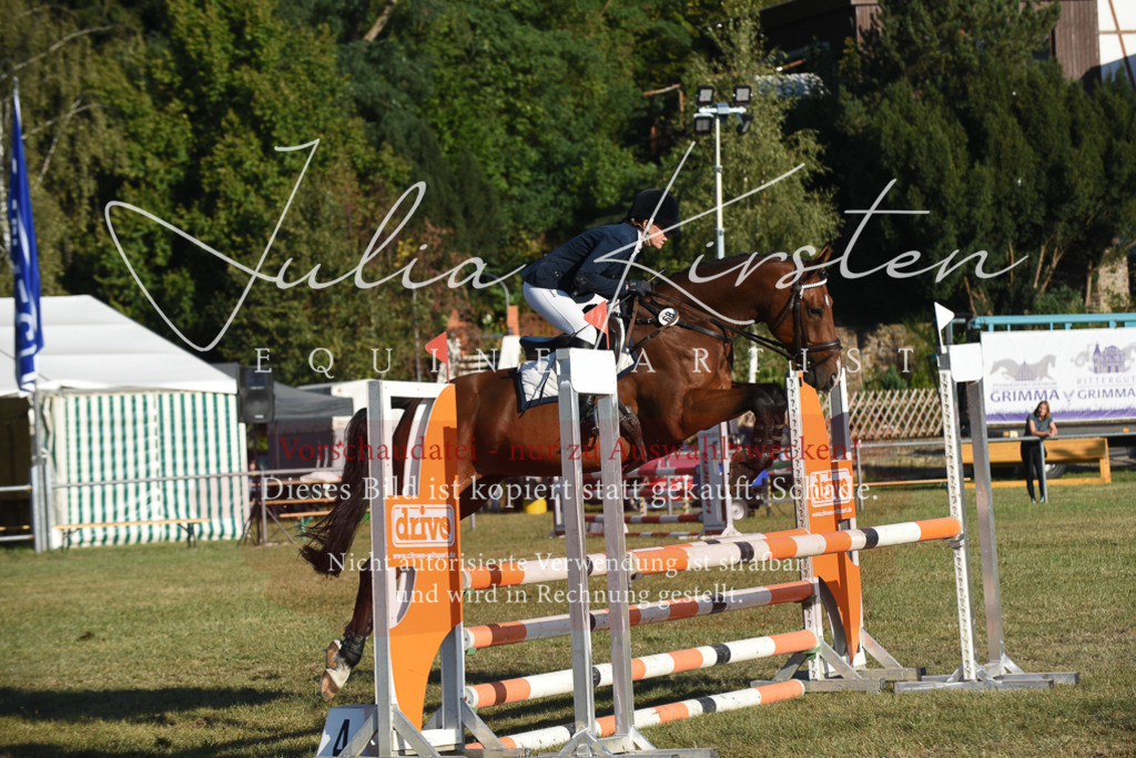 DSC_5014 | Pferde- und Turnierfotografie in Westsachsen. Pferdeportraits, Auftragszeichnungen und intuitive Kunst.