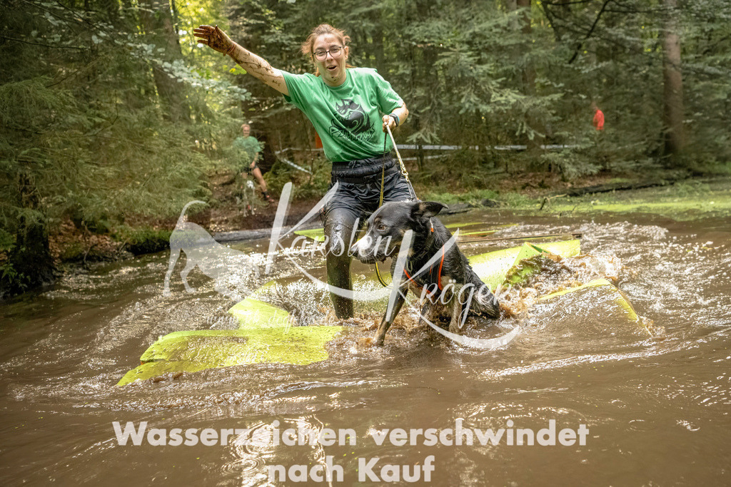 1411_ZZ91395-Bearbeitet | kk-dogfotos