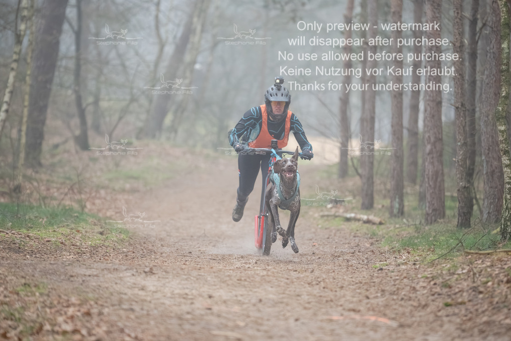 Scooter1-75 | stephaniefillaphotographie - Realisiert mit Pictrs.com