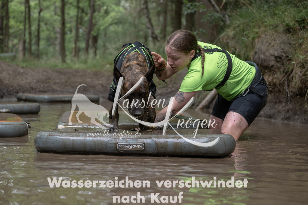 1339_ZZ95261 | kk-dogfotos