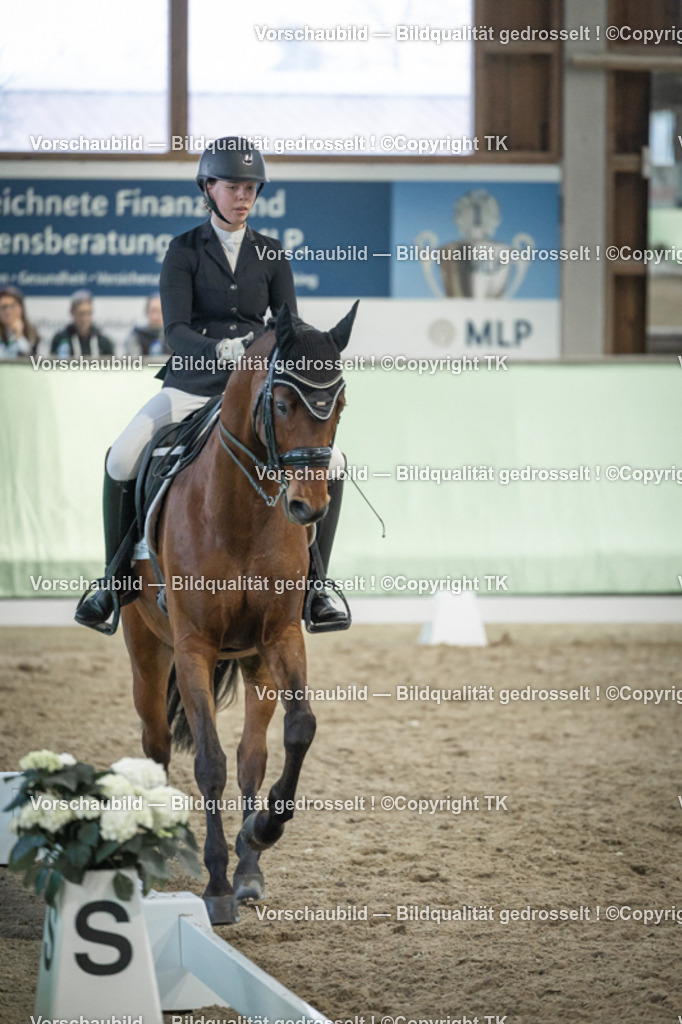 _D5A3571 | Emotionale Pferde- & People-Fotografie rund um Heidelberg, Leimen & Umgebung. Natürliche Fotos von Pferd, Mensch & Familie. Jetzt Termin sichern!