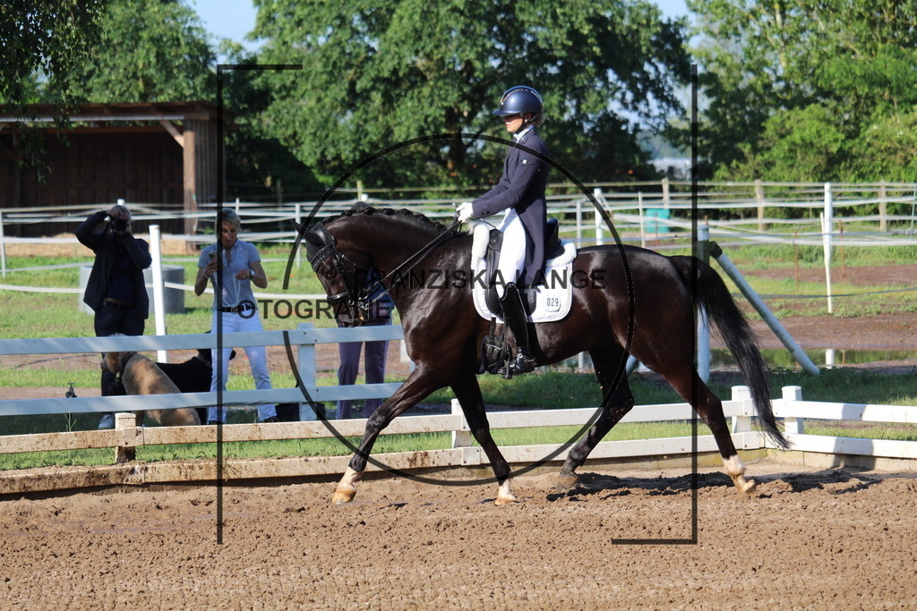 IMG_5868 | franziskalange - Realisiert mit Pictrs.com