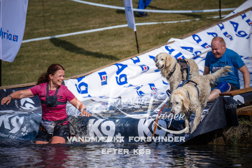 _ZZ993420827 | kk-dogfotos