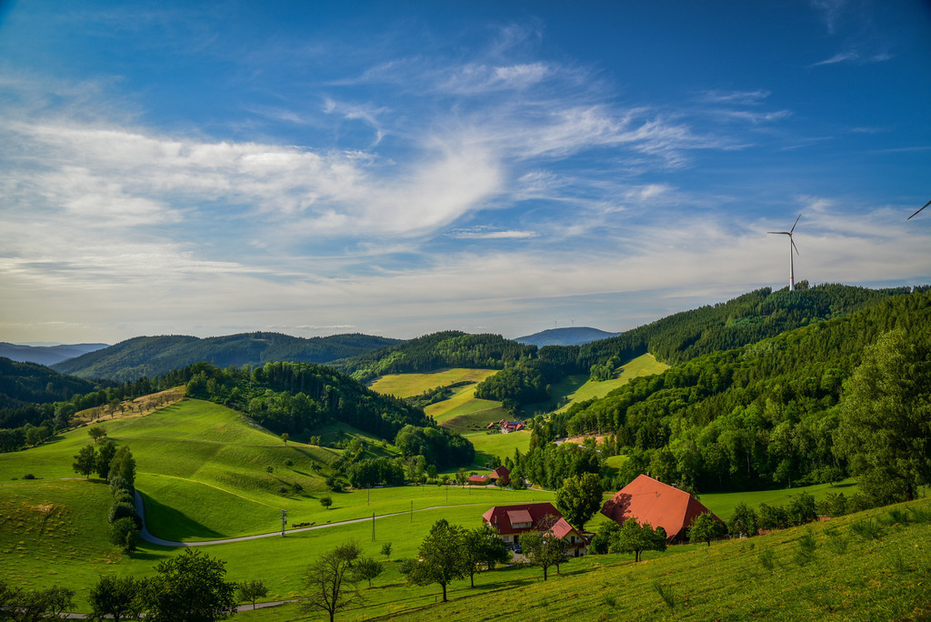 Ausblick in den Büchern | Aussicht über dem Buchjockenhof - Realisiert mit Pictrs.com