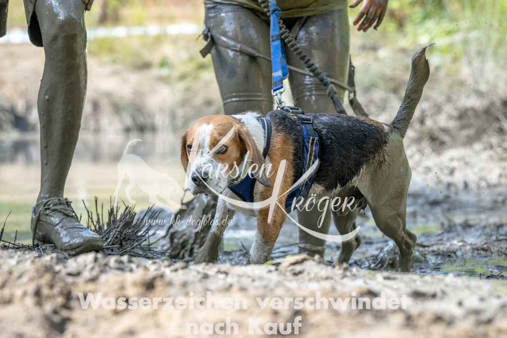 0952_ZZ94974 | kk-dogfotos