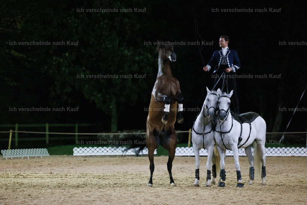 FHClassics-395 | working equitationturnier fotograf videograf stoibphotography marixx film working equitation deutschland reitsport turnierfotografie eventfotografie equestrian events