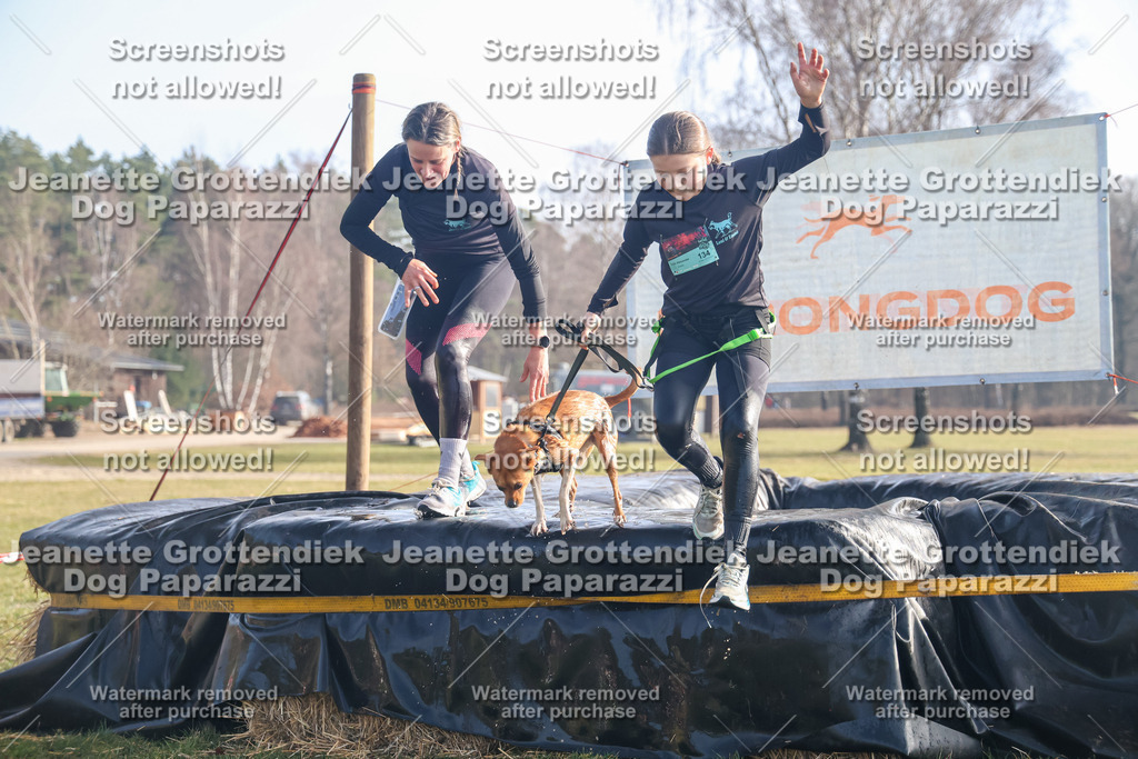 Dog Paparazzi - Strongdog North Mrz26-365 | Dog Paparazzi Jeanette Grottendiek Fotografie & Videografie - Realisiert mit Pictrs.com