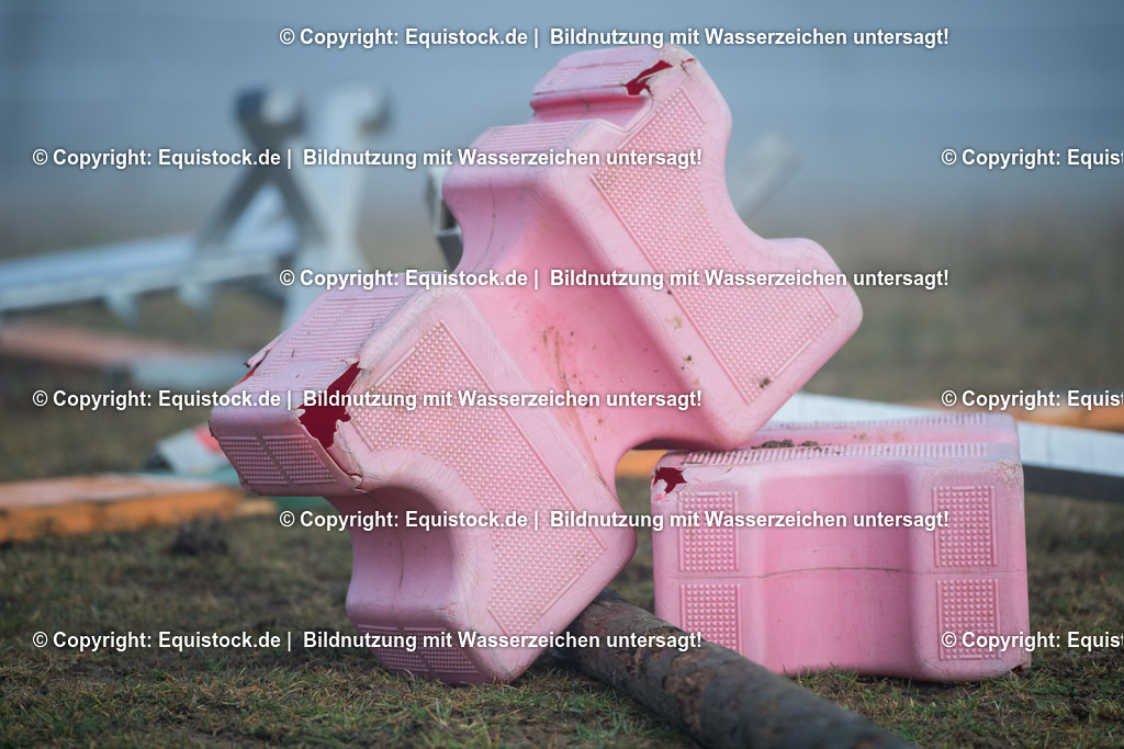 20160101_Umgest__rzte_Spr__nge_auf_Koppel_0003 | equistock