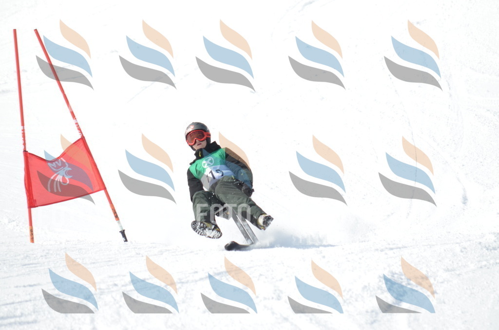 D9250 | holidayphoto