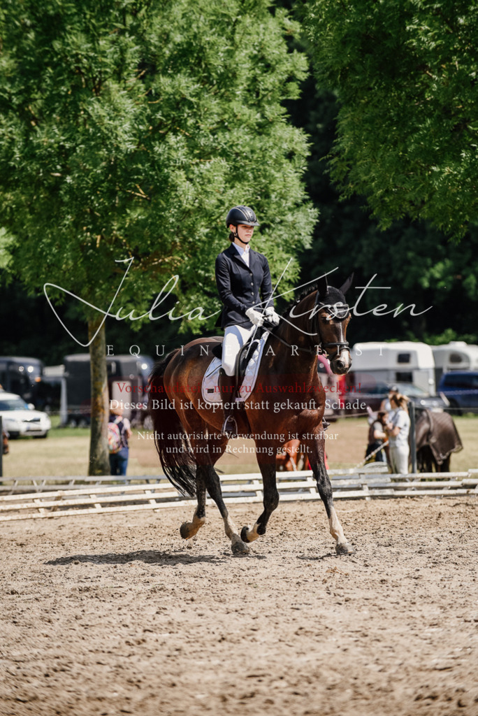 DSC_0875 | Pferde- und Turnierfotografie in Westsachsen. Pferdeportraits, Auftragszeichnungen und intuitive Kunst.