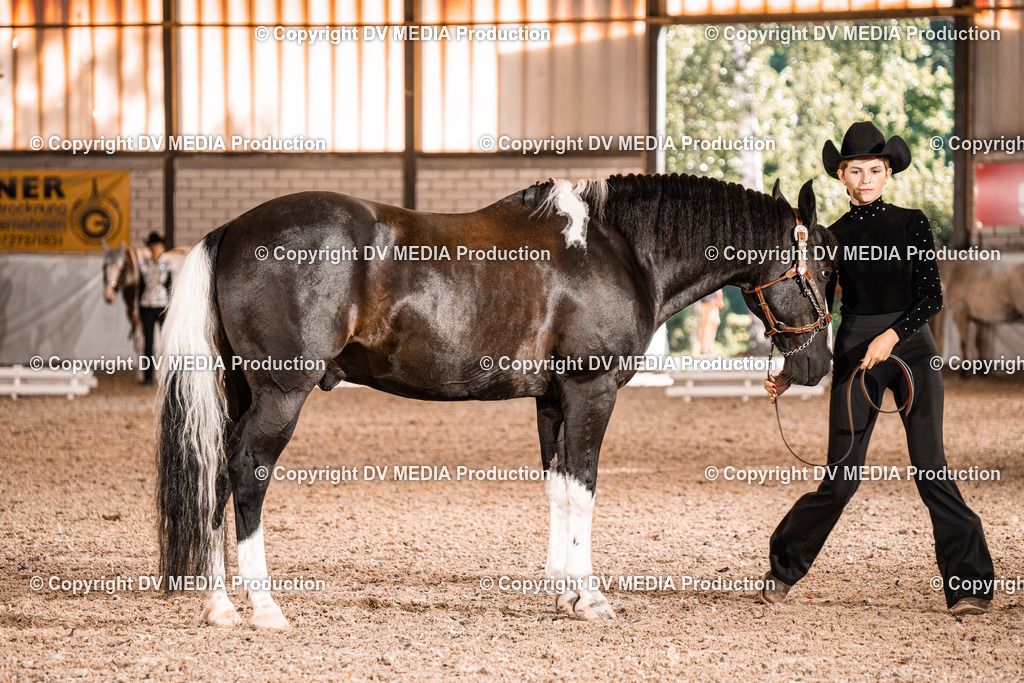 ZH100238 | dv-media-shop - Realisiert mit Pictrs.com