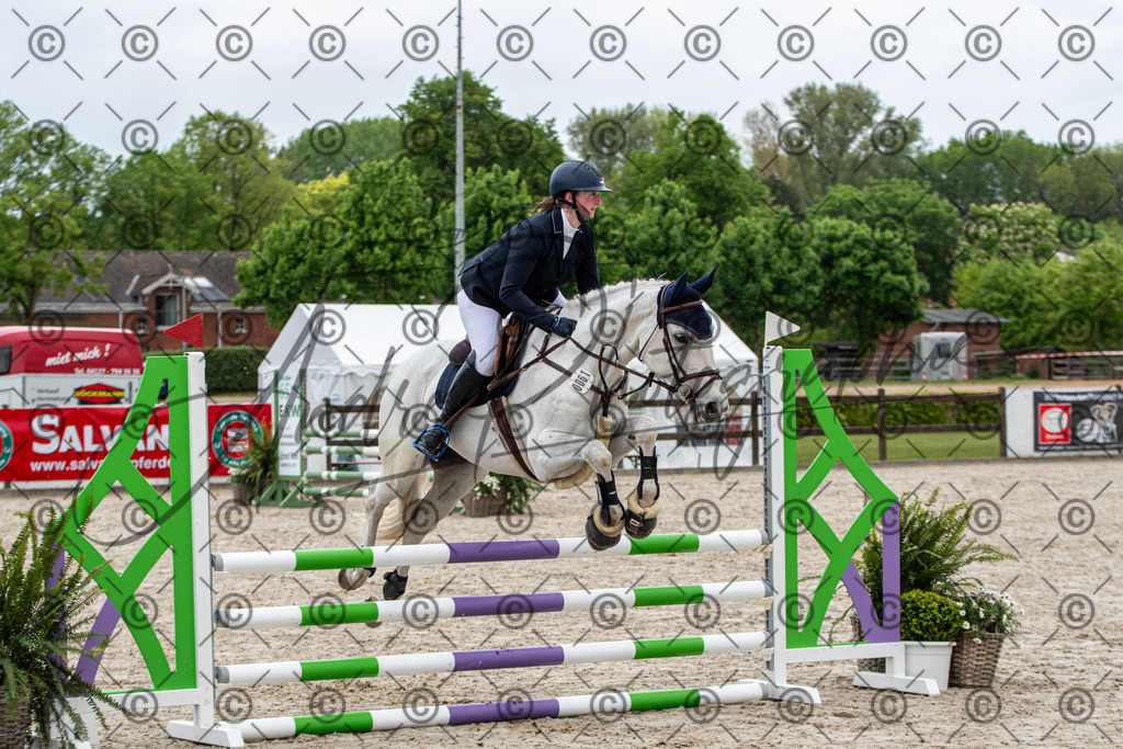 KPT_7662 | andre_photographic