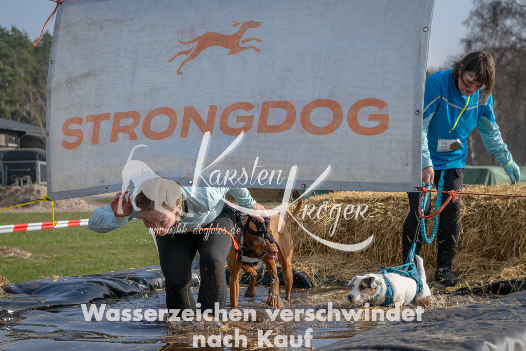 _ZZ91336 | kk-dogfotos