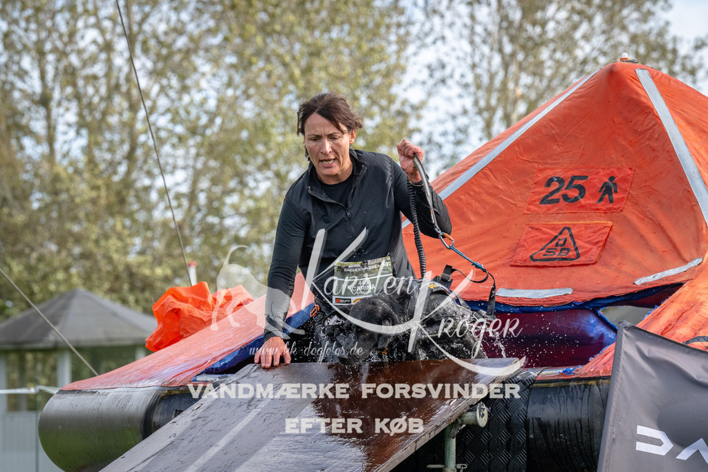 1210-92685 | kk-dogfotos
