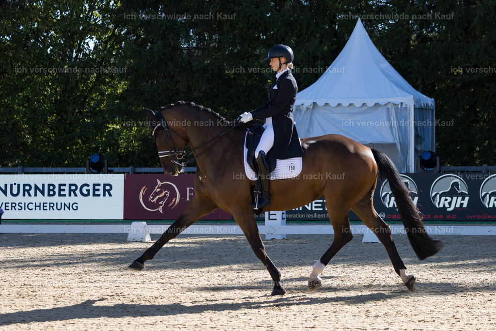 FHC2026_P07_150_17267 | working equitationturnier fotograf videograf stoibphotography marixx film working equitation deutschland reitsport turnierfotografie eventfotografie equestrian events