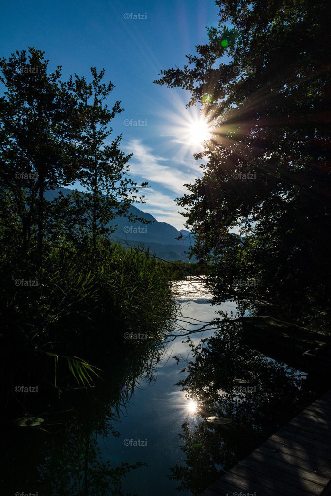 Presseggersee_Juli_fatzi200720-074010-k | Fatzi Bilder-Archiv! 
Die Bilder sind für private Nutzung lizenzfrei. Die kommerzielle Nutzung ist möglich und erwünscht, jedoch bitte ich um vorherige Kontaktaufnahme per E-Mail (info@fatzi.at) oder unter +43 650 7828269 - Realisiert mit Pictrs.com