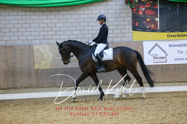 IMG_2858 | Turnierfotos kaufen im Webshop von Daniel Kuhl Photography – entdecke professionelle Reitsportfotos aus Turnieren & Events. Hochwertige Turnierbilder online bestellen & sichern. Jetzt Fotos von Reitsportturnieren kaufen!