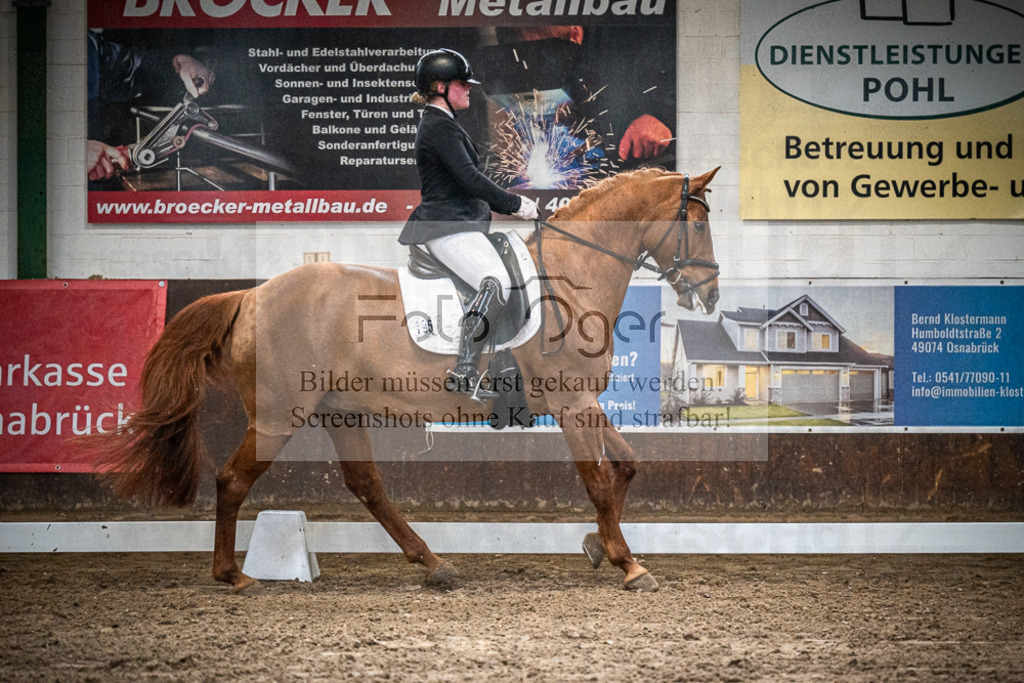 DOS_0655 | Entdecke hochwertige Reitturnierfotos von Foto Oger. Professionell, emotional und authentisch – jetzt Lieblingsmomente im Shop bestellen.Deutschlandweite Turnierfotografie. - Realisiert mit Pictrs.com