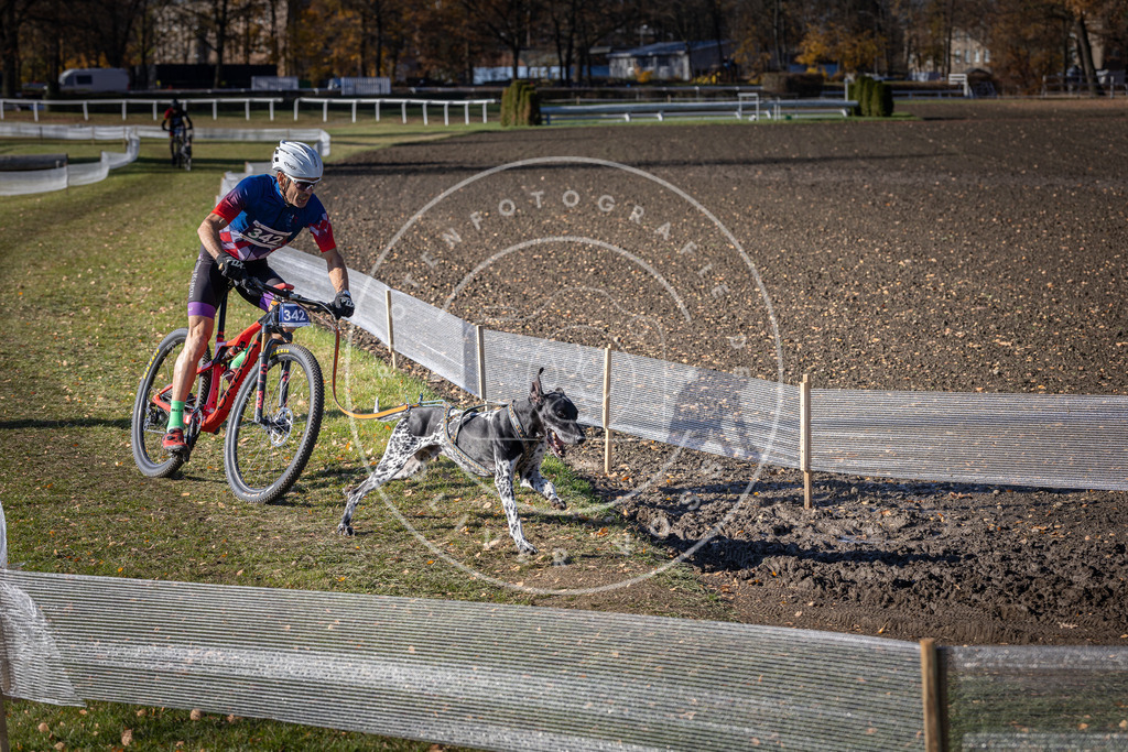 CaniXpix_DV3A6986 | Hundefotografie, Tierfotograf, Pfotenfotografie, Fotoshooting Hund, Hunde Portrait, Hundesport, Hundeportraits, Heideshooting, Hunde, Sportfotograf, Hundefotograf, Turnierhundsport, THS,  - Realisiert mit Pictrs.com